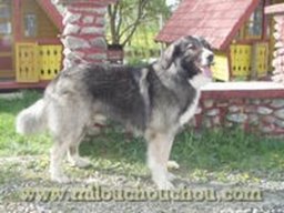 aro_1_20211129_1395003290
